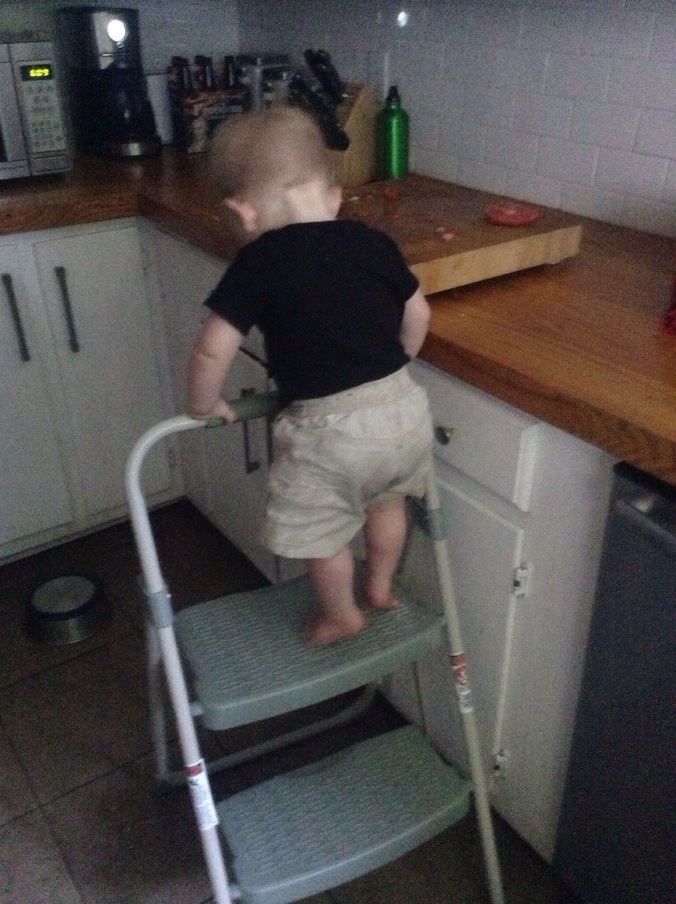 You climbed up on that while my back was turned while I was cooking dinner.  You scared the crap out of me.